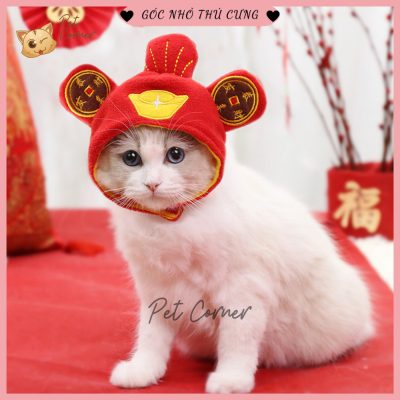 Mũ Thần Tài cho chó mèo may mắn