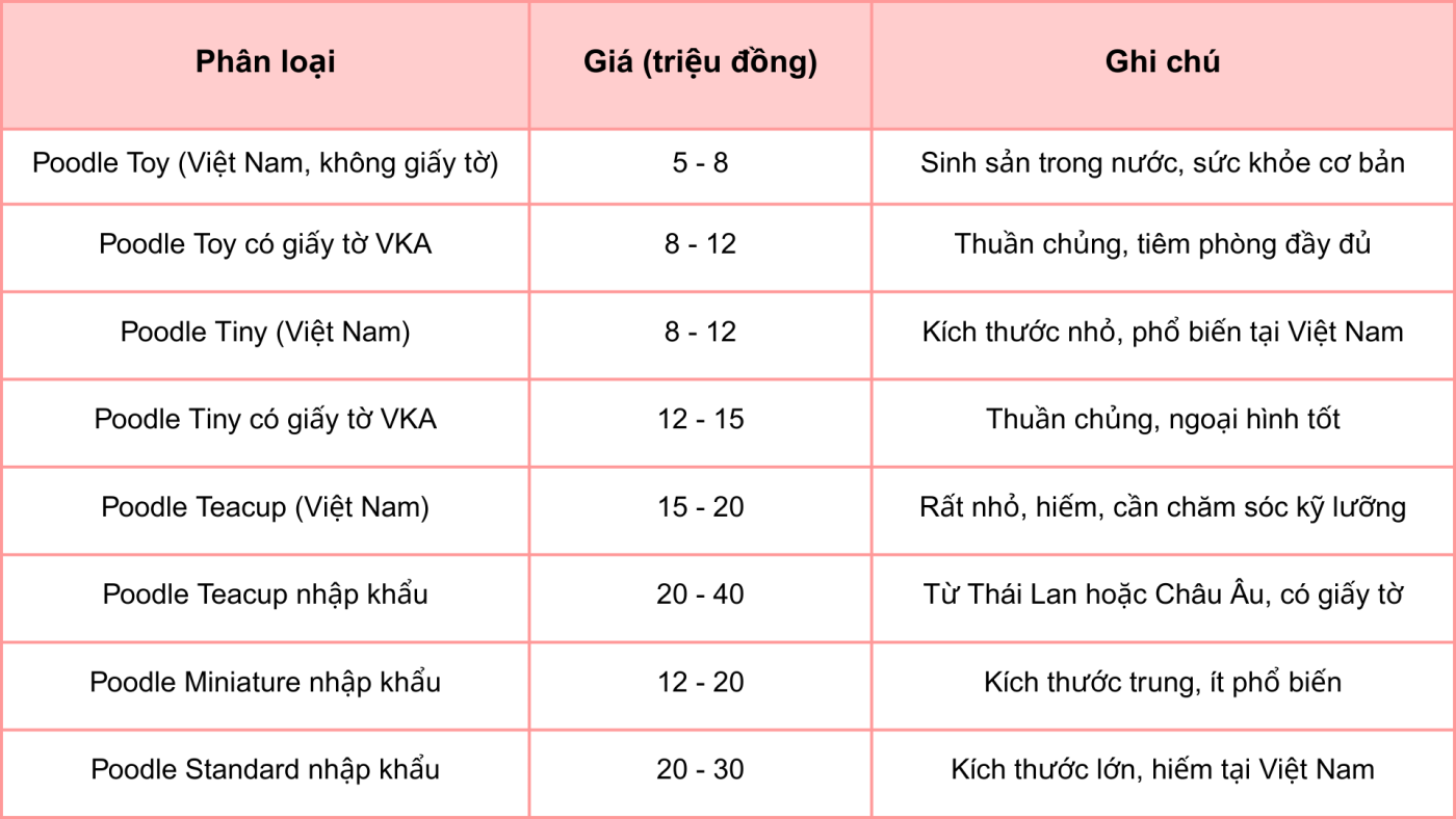 Kinh nghiệm nuôi chó Poodle toàn diện từ A-Z 3 Bảng giá tham khảo chó Poodle hiện nay