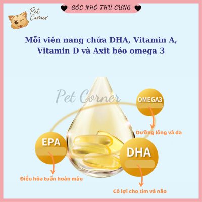 Dầu cá hồi cho chó, giúp bổ sung omega 3 cho chó mèo