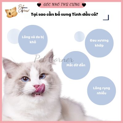 Dầu cá cho mèo và cún