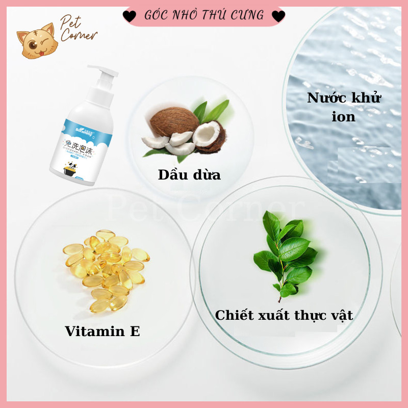 sữa tắm khô cho chó