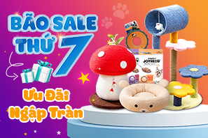 Kin Sale7 297x198 2