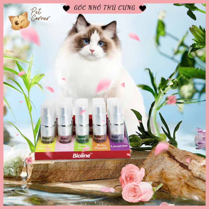 xịt khử mùi cho chó