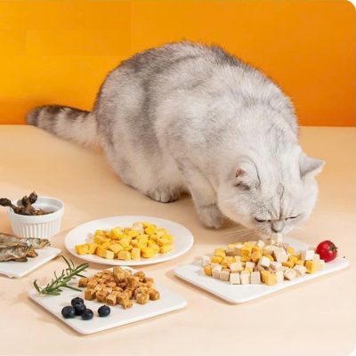 Hướng dẫn sử dụng thịt sấy cho mèo và cún