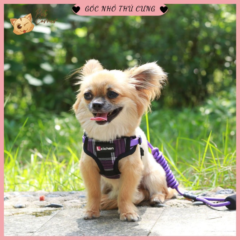 Dây dắt thú cưng